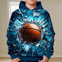Boys 3D Basketball Hoodie Pullover Long Sleeve 3D Print Spring Fall Fashion Streetwear Cool Polyester Kids 3-12 Years Hooded Outdoor Casual Daily Regular Fit Lightinthebox - thumbnail