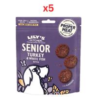 Lily's Kitchen Turkey & Whitefish Senior Dog Treats 70G (Pack of 5)