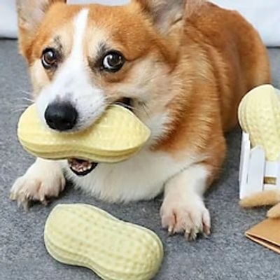1pc Peanut Design Dog Chew Toys Tough Squeaky Dog Grinding Teeth Toys Lightinthebox