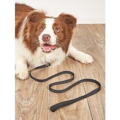 Dog Leash Training Leash Anti Lost Safety Safety Soft Lolita Oxford Cloth Nylon Golden Retriever Corgi Bulldog Cocker Spaniel Bichon Frise Poodle Black Red Blue 1PC Lightinthebox