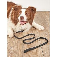 Dog Leash Training Leash Anti Lost Safety Safety Soft Lolita Oxford Cloth Nylon Golden Retriever Corgi Bulldog Cocker Spaniel Bichon Frise Poodle Black Red Blue 1PC Lightinthebox - thumbnail