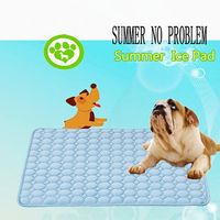 Summer Ice Pad Pet Dog Kitty Cooling Bed Ice Pad Cushion Pet Soft Safety Pad cooling Cat Dog Mat - thumbnail