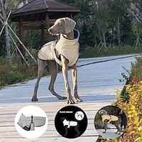 New pet clothing Dog body reflective jacket waterproof and warm pet supplies Lightinthebox - thumbnail
