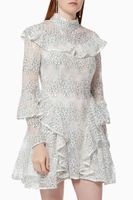 Waratah Dress in Embroidered Mesh - thumbnail