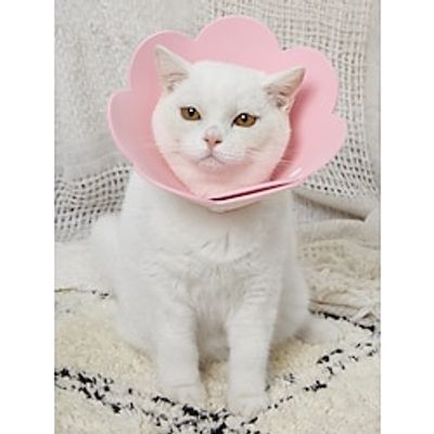 Pet Rehabilitation Collar 1 piece Sunflower Elizabeth Ring EVA Sponge Lightweight Head Cover Cat Supplies Neck Ring Anti licking Shame Ring for Sterilization Lightinthebox