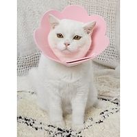 Pet Rehabilitation Collar 1 piece Sunflower Elizabeth Ring EVA Sponge Lightweight Head Cover Cat Supplies Neck Ring Anti licking Shame Ring for Sterilization Lightinthebox - thumbnail