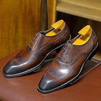 Men's Oxfords Formal Shoes Dress Shoes Walking Casual Daily Leather Comfortable Booties / Ankle Boots Loafer Black Brown Spring Fall miniinthebox - thumbnail