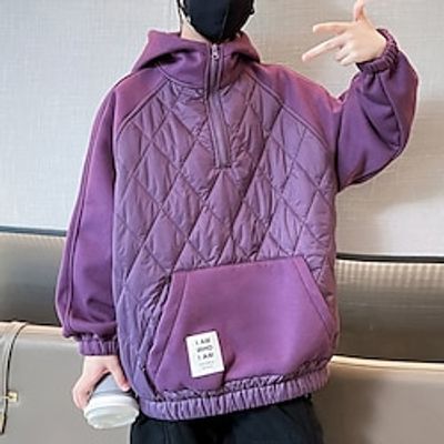 Kids Boys Fleece Jacket Outerwear Solid Color Long Sleeve Zipper Coat Outdoor Cool Daily Purple Grey Spring Fall 7-13 Years Lightinthebox