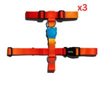 Zee.Dog Solaris H-Harness Extra Small (Pack Of 3)