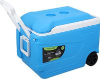 Insulated Ice Cooler Box-(Assorted)-(RF10482) - thumbnail