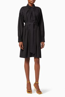 Darcy Shirt Dress in Cotton Darcy Shirt Dress in Cotton