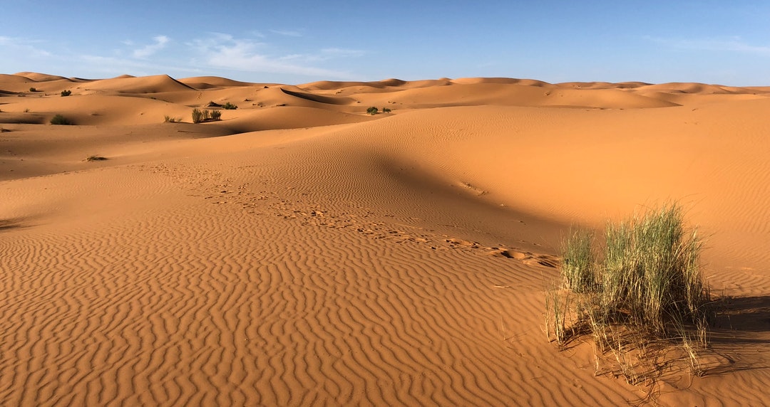 You Won't Enjoy Winter Camping in the Desert Without These Top 8 Essentials